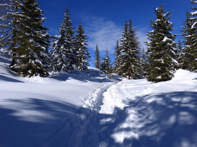 Обои картинки фото природа, зима, простор