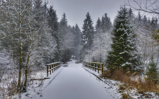 Обои картинки фото природа, зима, простор