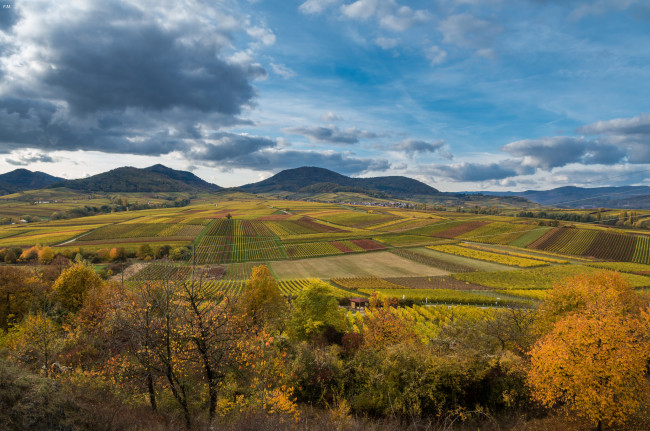 Обои картинки фото природа, пейзажи, простор