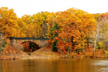 Картинка природа реки озера осень