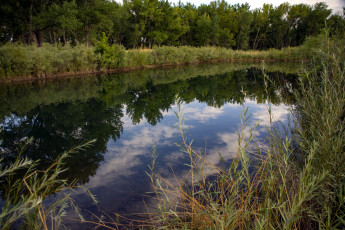 Картинка природа реки озера пруд