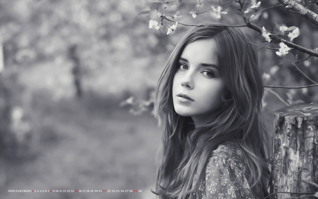 Обои картинки фото календари, компьютерный дизайн, 2019, природа, цветы, взгляд, девушка, женщина, лицо, calendar