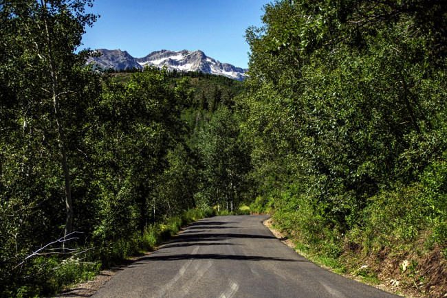 Обои картинки фото природа, дороги, деревья, дорога, горы