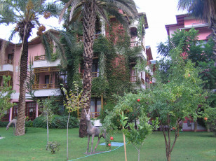 Картинка природа