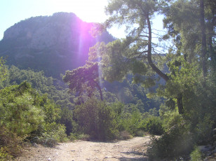 Картинка природа