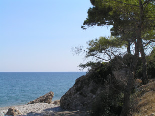 Картинка природа