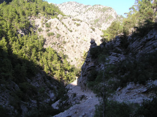 Картинка природа