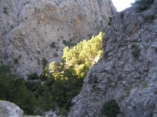 Картинка природа