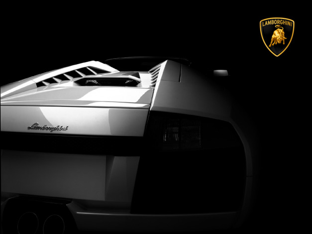 Обои картинки фото murcielago, автомобили, lamborghini