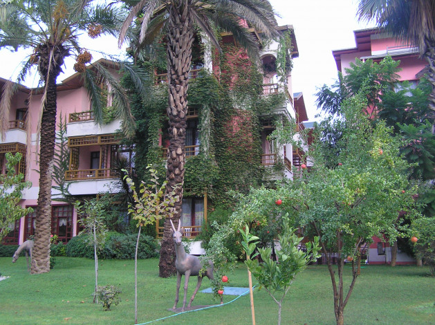 Обои картинки фото природа