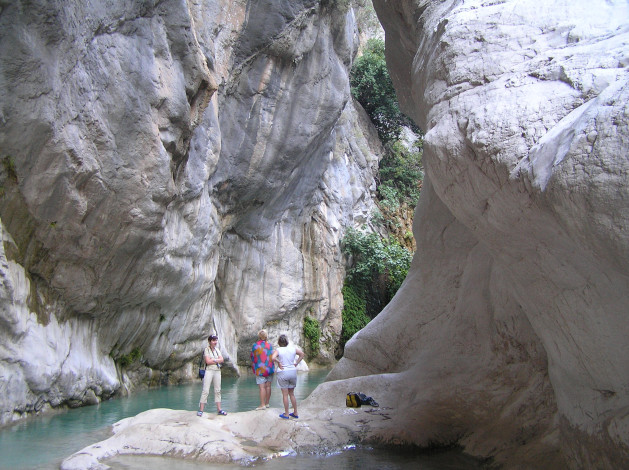 Обои картинки фото природа