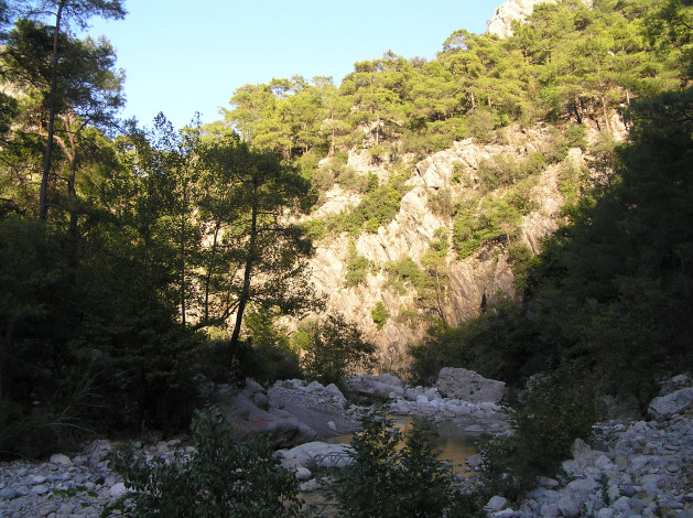 Обои картинки фото природа