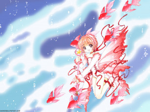 Картинка аниме card captor sakura