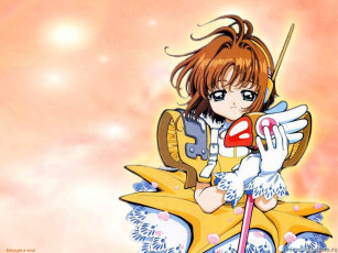 Картинка аниме card captor sakura