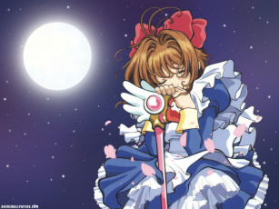Картинка аниме card captor sakura