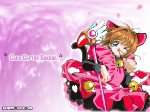 Картинка аниме card captor sakura