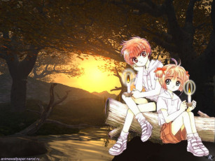 Картинка аниме card captor sakura