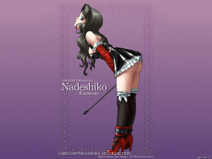 Картинка аниме card captor sakura