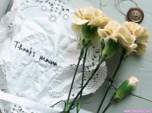 Картинка цветы гвоздики