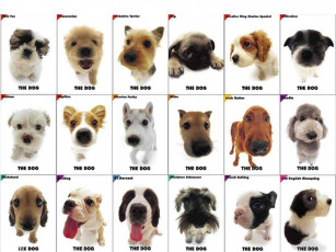 Картинка разное