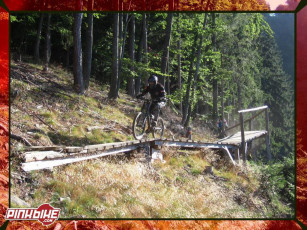 Картинка спорт велоспорт