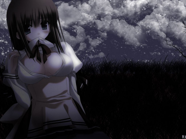 Обои картинки фото аниме, *unknown, другое