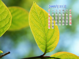 Картинка календари природа