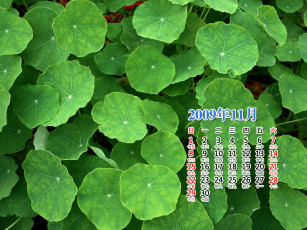 Картинка календари природа