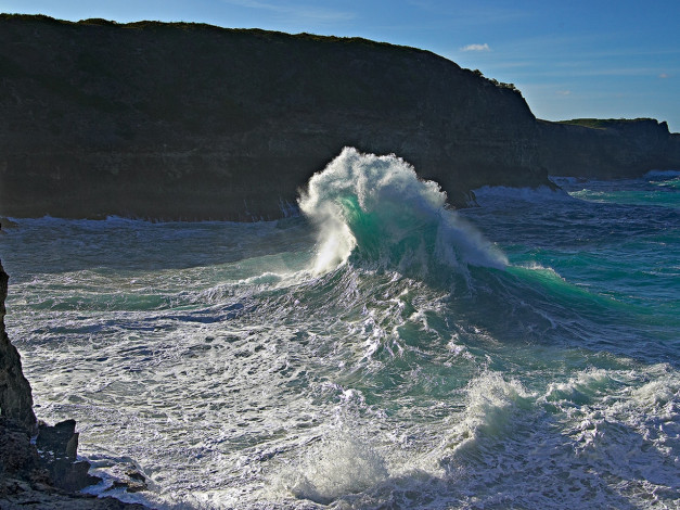 Обои картинки фото 