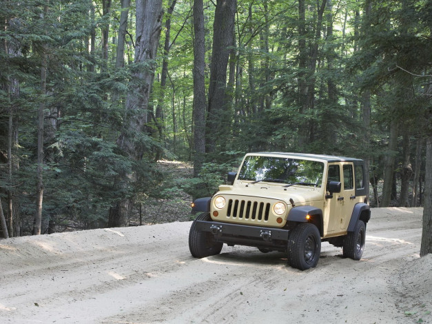 Обои картинки фото автомобили, jeep