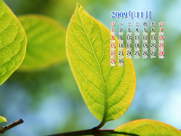 Обои картинки фото календари, природа