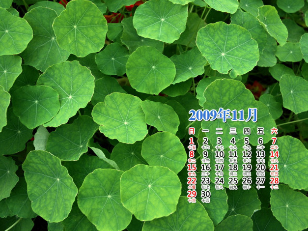 Обои картинки фото календари, природа