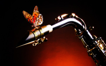 Картинка 3д графика animals животные