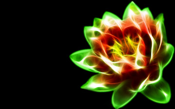 Картинка 3д графика flowers цветы