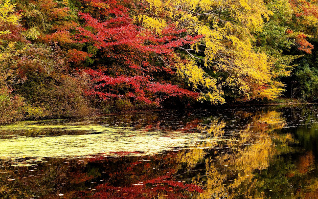 Обои картинки фото природа, реки, озера