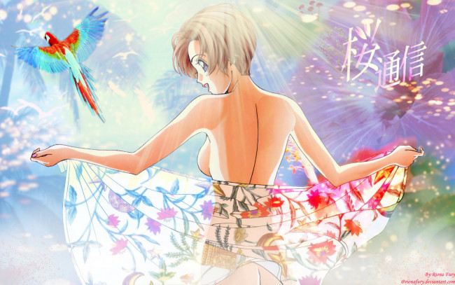 Обои картинки фото sakura, diaries, аниме