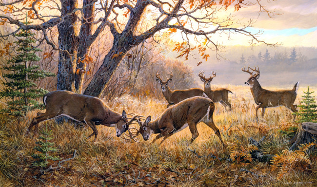 Обои картинки фото the, dream, team, one, on, рисованные, persis, clayton, weirs, олени, поединок, осень