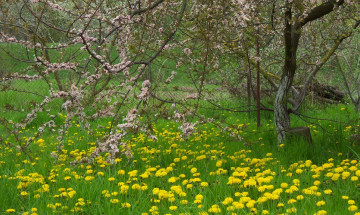 Картинка природа пейзажи