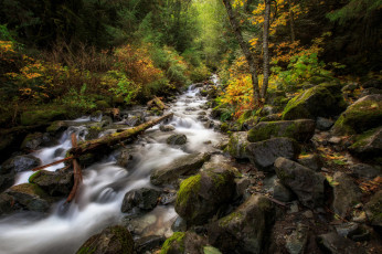 Картинка природа реки озера простор