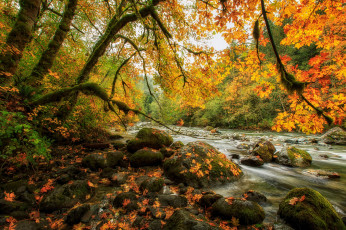 Картинка природа реки озера простор