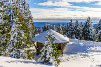 Картинка природа зима простор