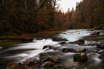 Картинка природа реки озера река поток
