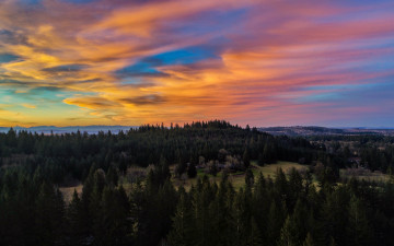 Картинка природа лес деревья облака