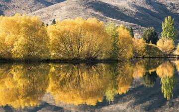 Картинка природа реки озера отражение