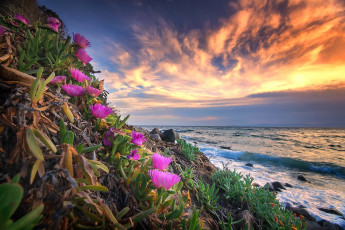 Картинка природа побережье простор