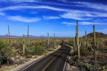 Картинка природа дороги простор