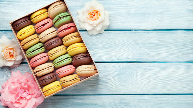 Обои картинки фото еда, макаруны, розы, ассорти, лакомство, печенье