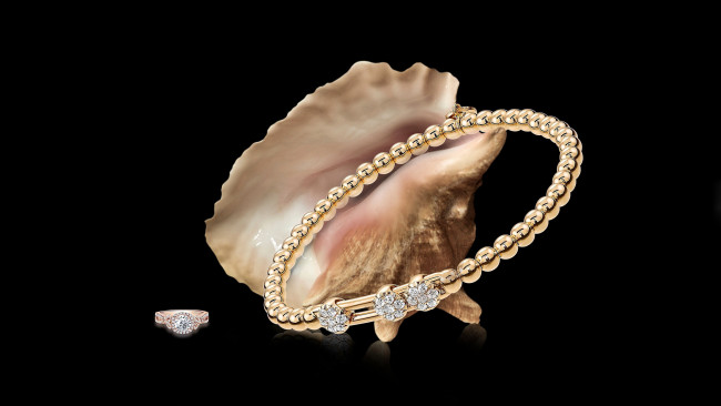 Обои картинки фото разное, украшения,  аксессуары,  веера, кольцо, браслет, ракушка