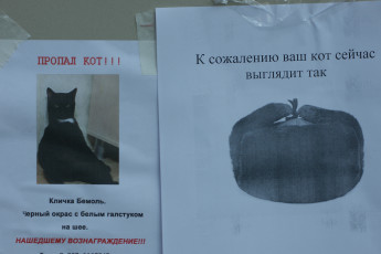 обоя черный юмор, юмор и приколы, объявления, стена