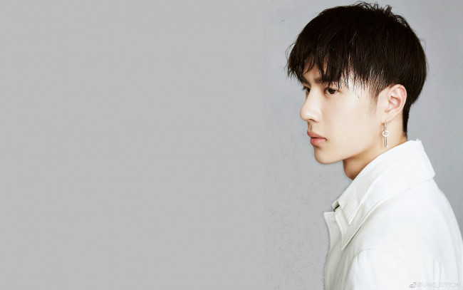 Обои картинки фото мужчины, wang yi bo, лицо, серьга, рубашка